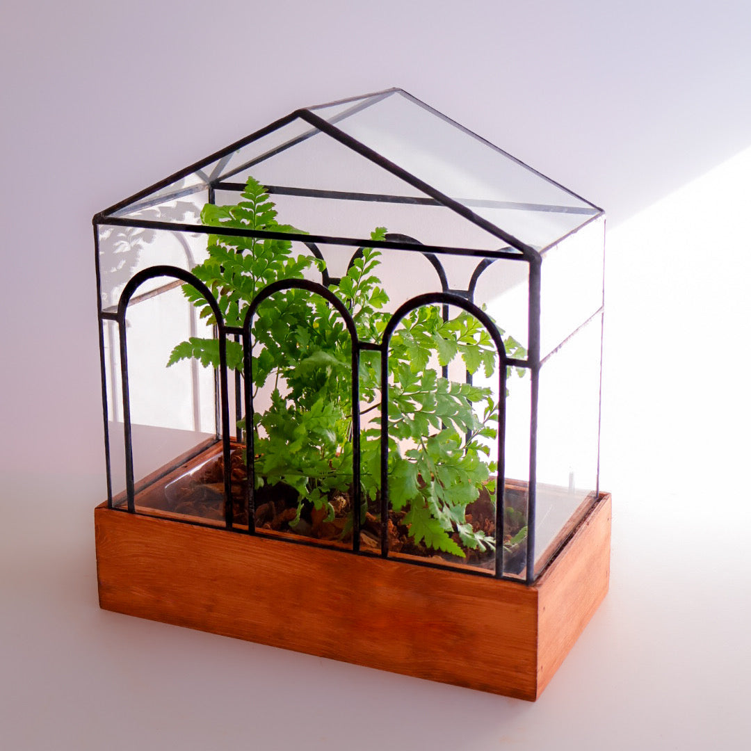 Neo Classical Terrarium