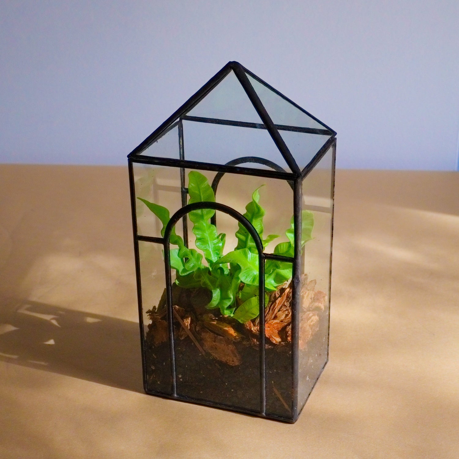 Terrariums All Glass