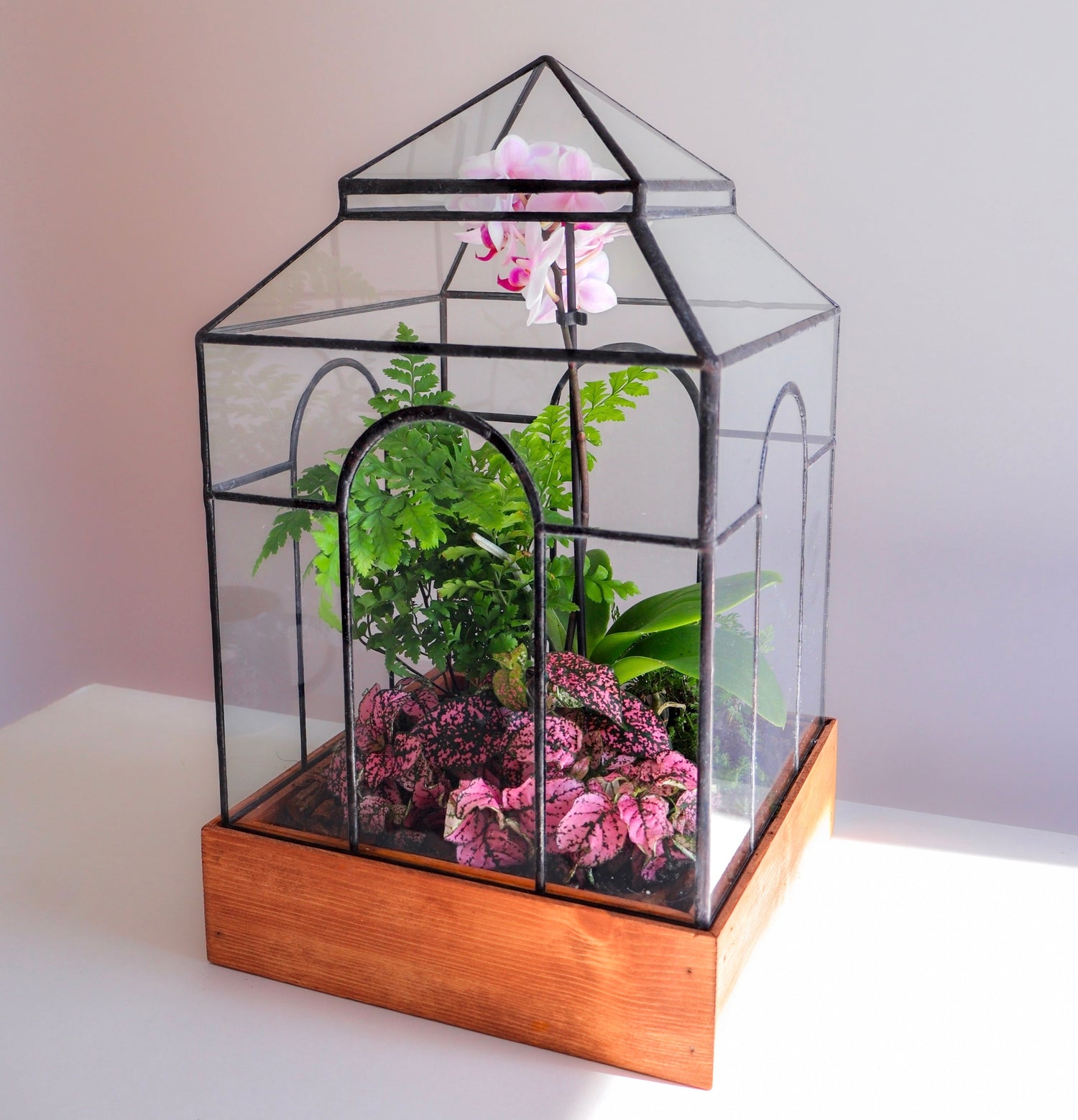 Terrariums w/ Wooden Bases