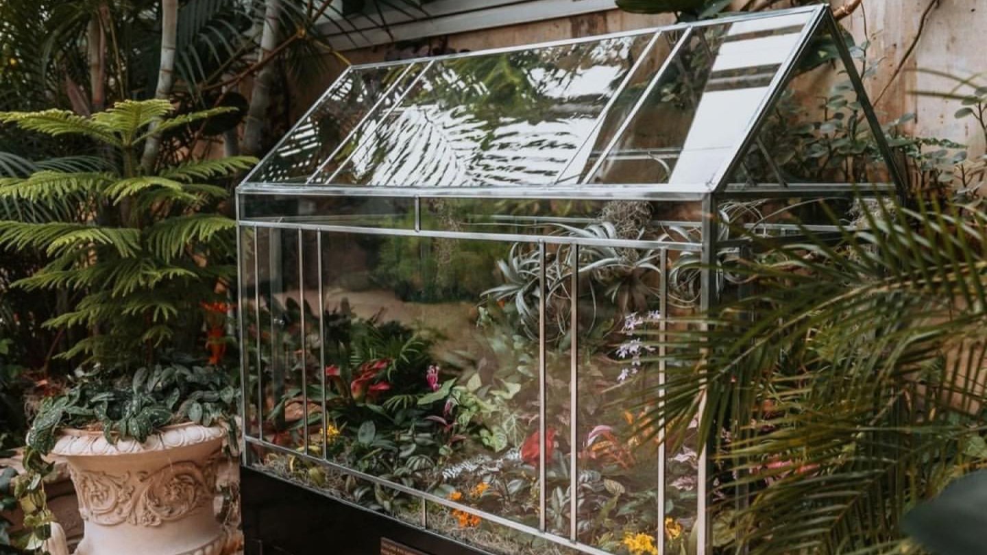 Large custom glass terrarium with terrarium plants