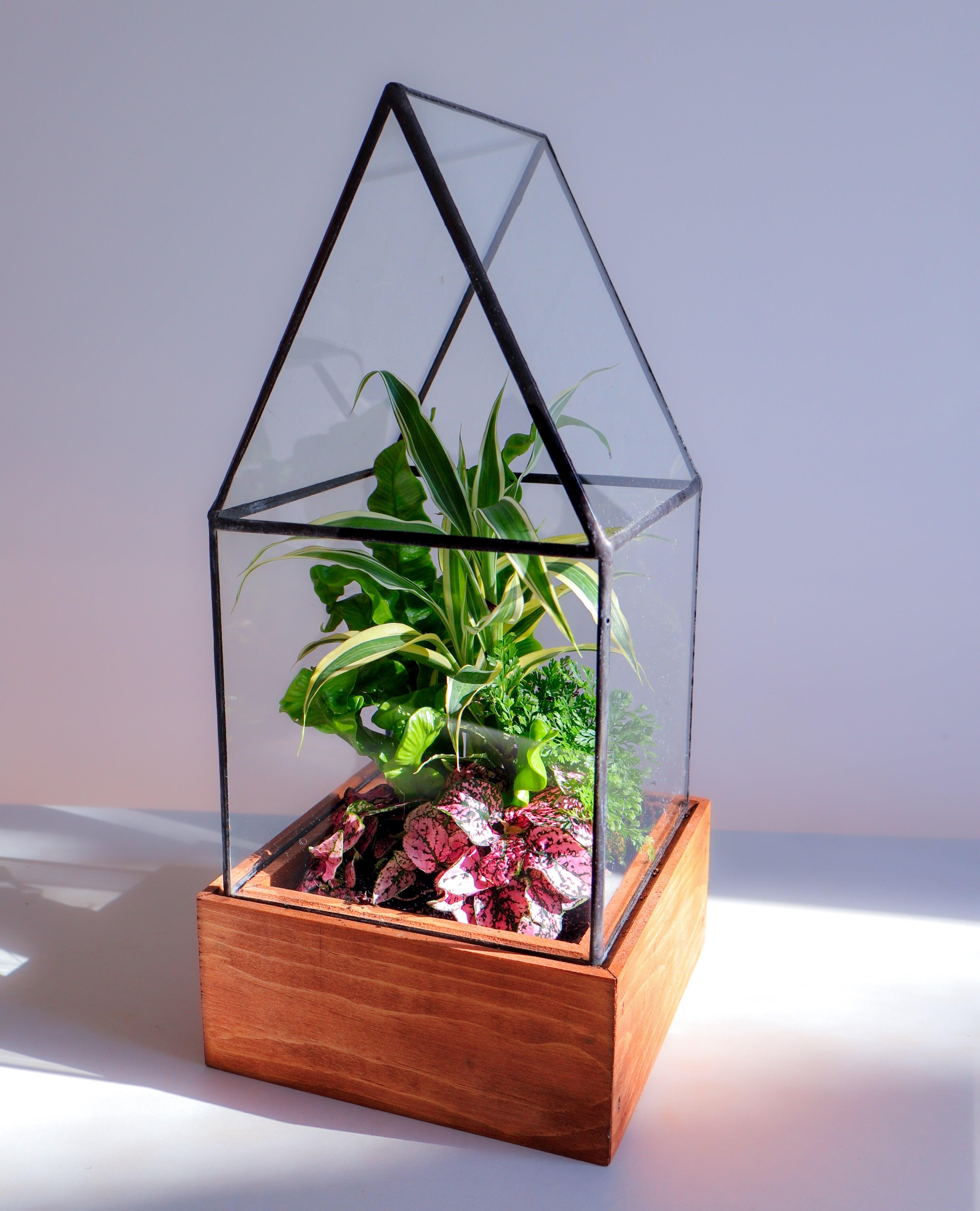 Vintage Glass Terrarium buy w Fitted Base