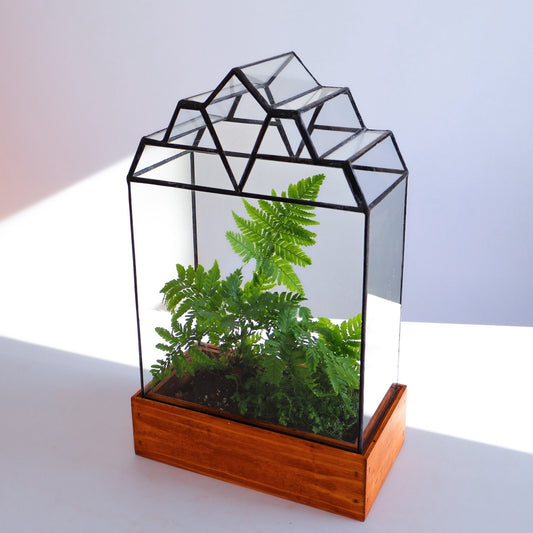 Mendel Art Deco Terrarium planted with ferns