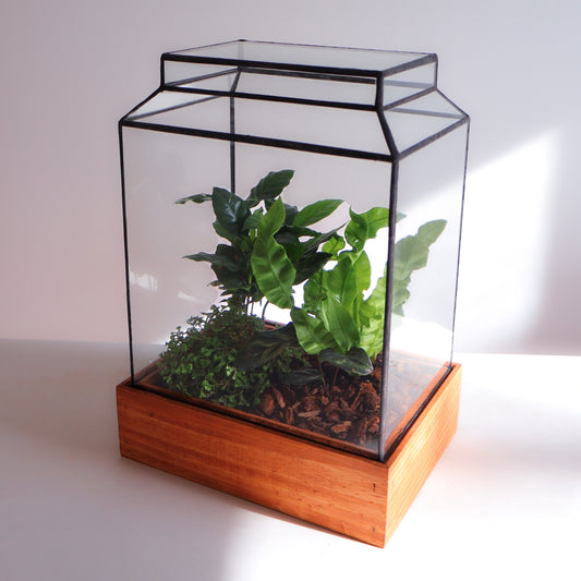 The Ward Terrarium