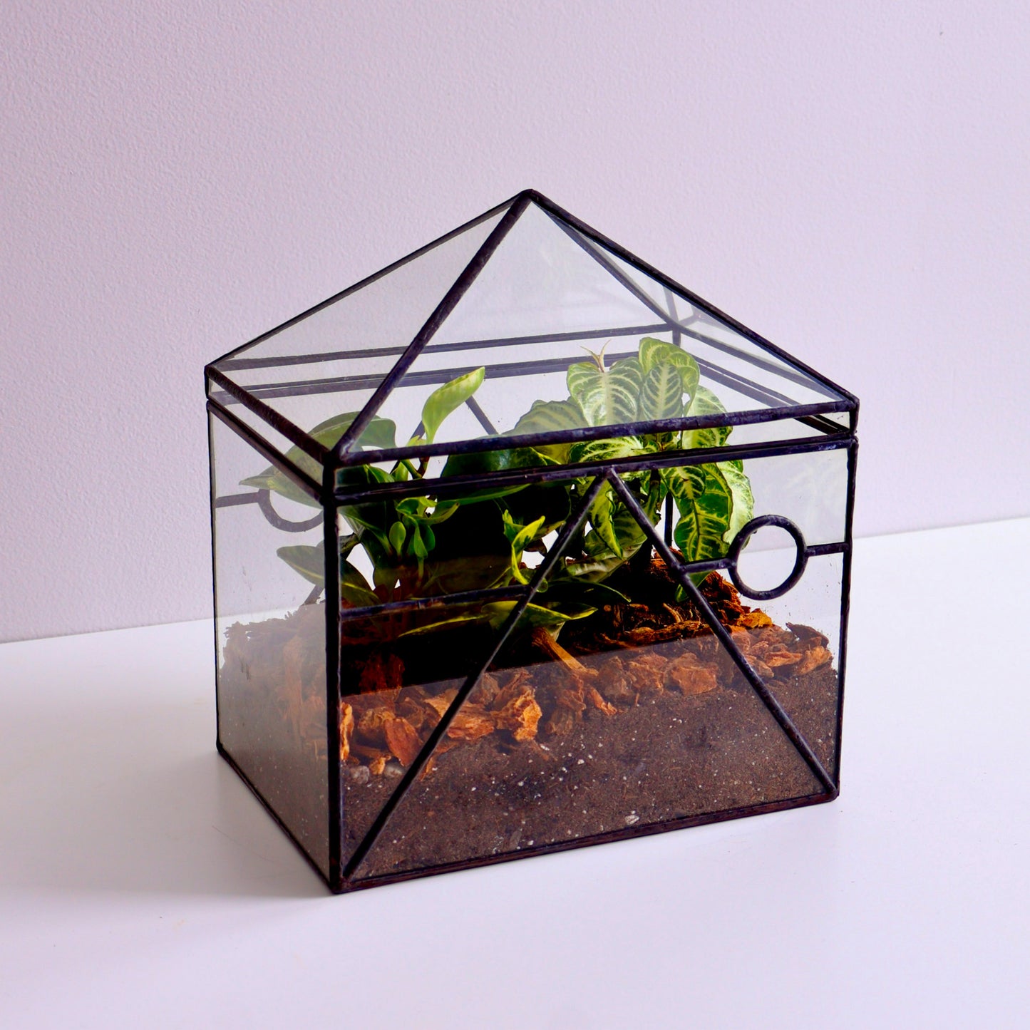 Watts Terrarium