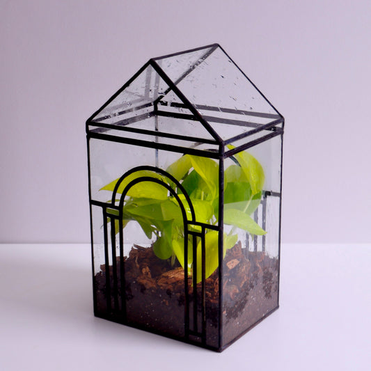 Eastwood Terrarium