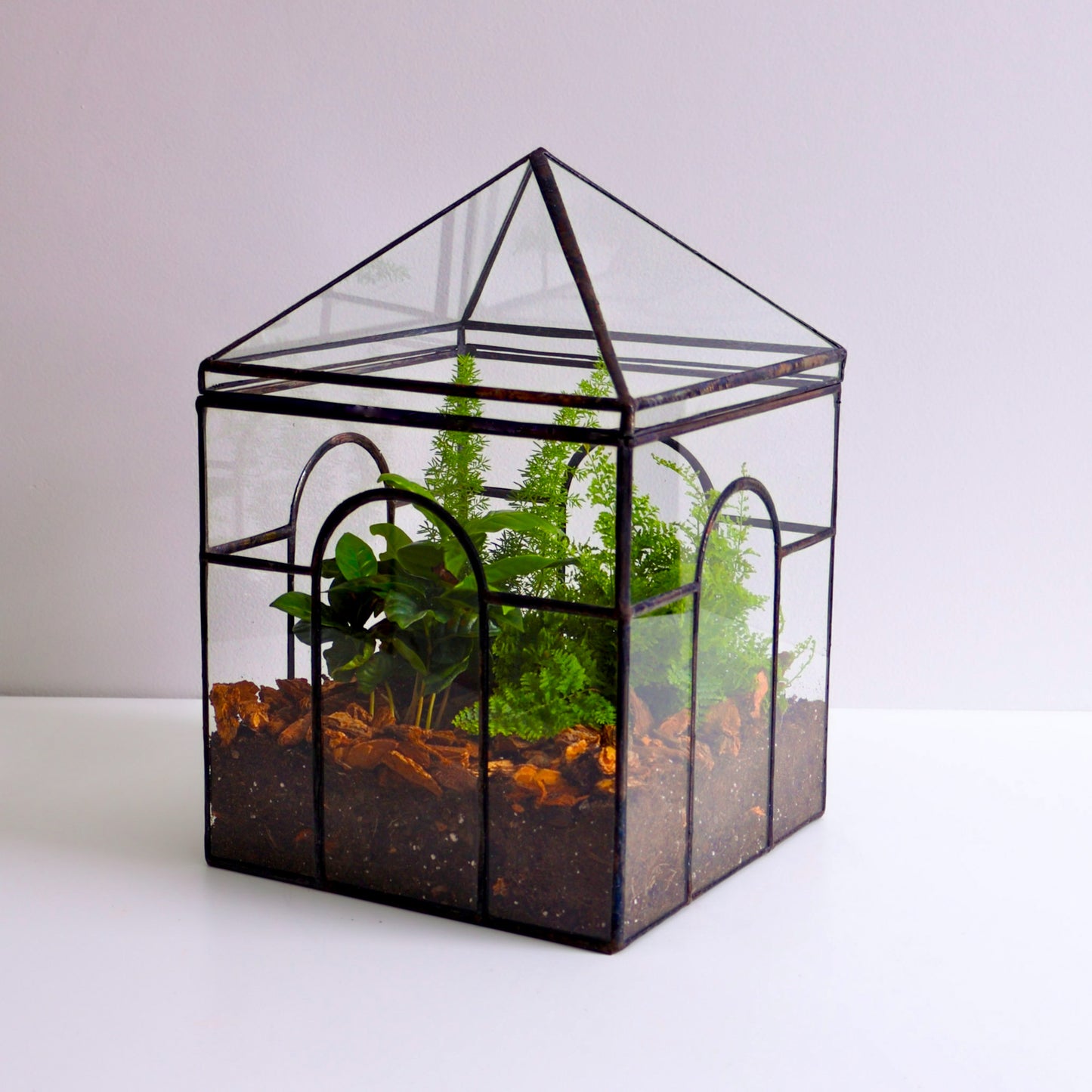 Burrows Terrarium