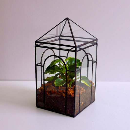 Henry Terrarium