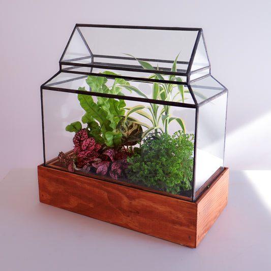 Taylor Handcrafted Stained Glass Terrarium