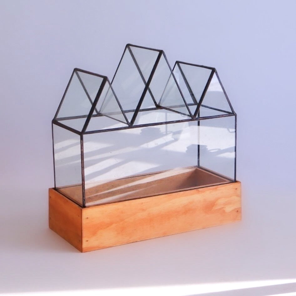 New Fortune Case Terrarium